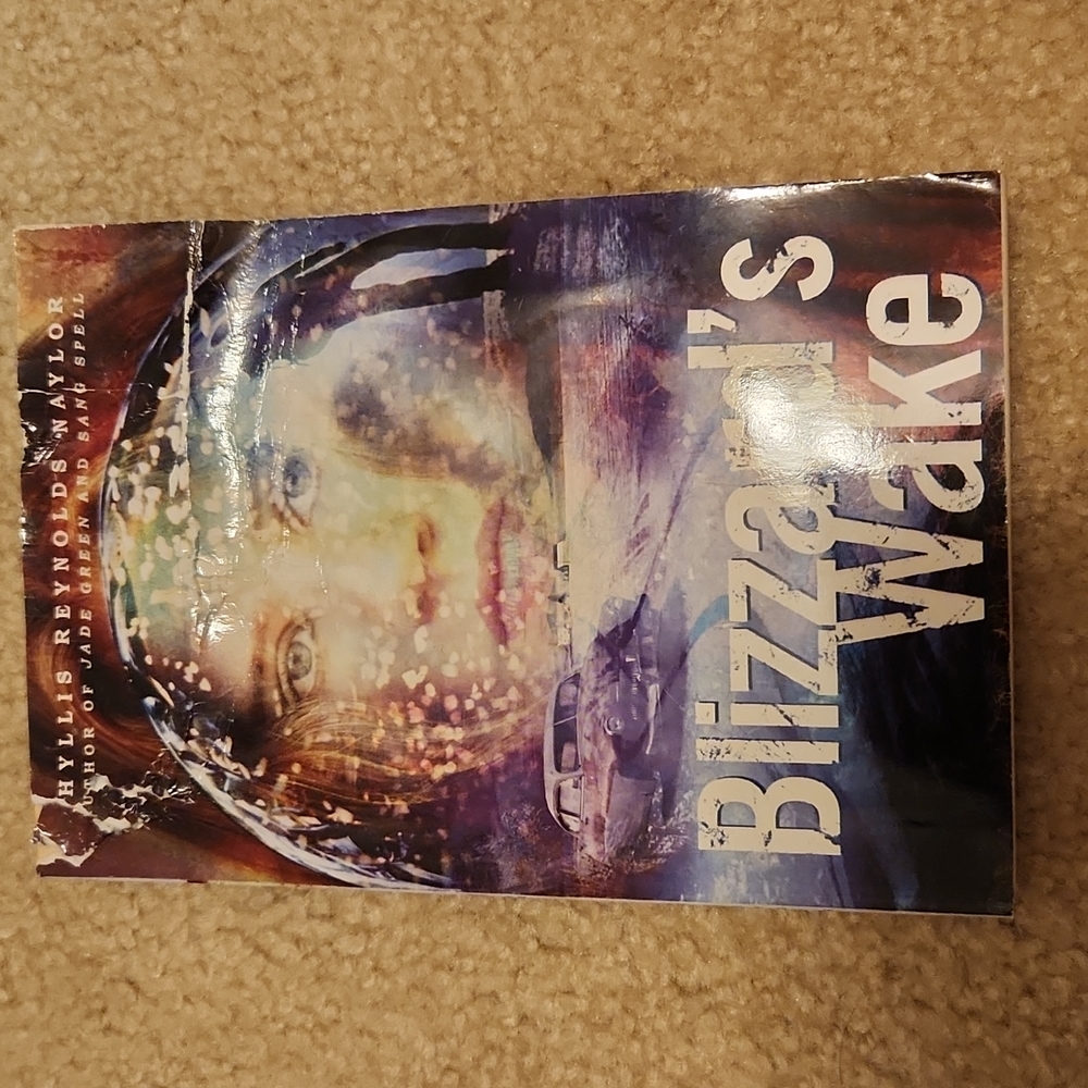 Blizzards Wake book